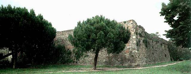 Arezzo Cosa Vedere: Mura Medievali