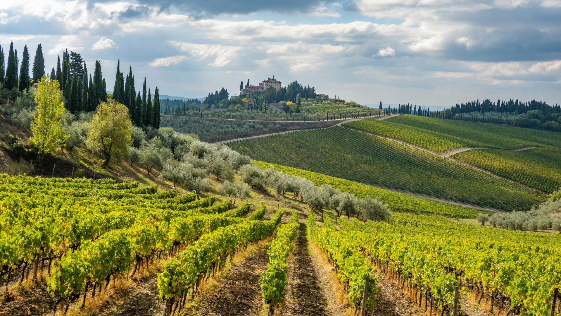 VALLE DEL CHIANTI - Chianti Valley - RADDA IN CHIANTI