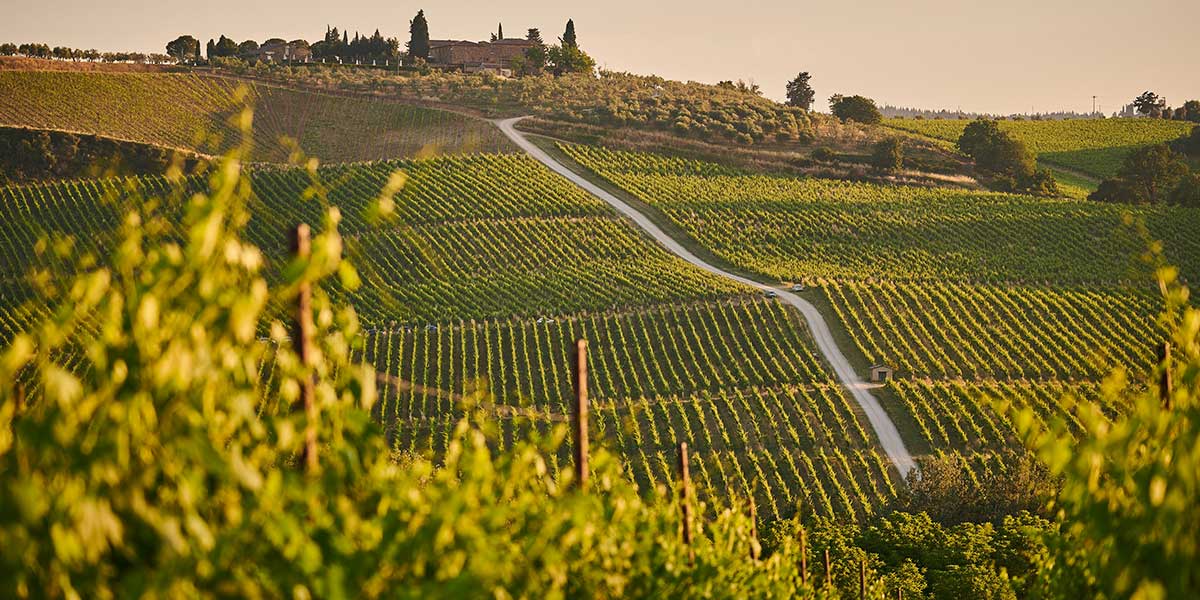 La Valle del Chianti : Da Vedere