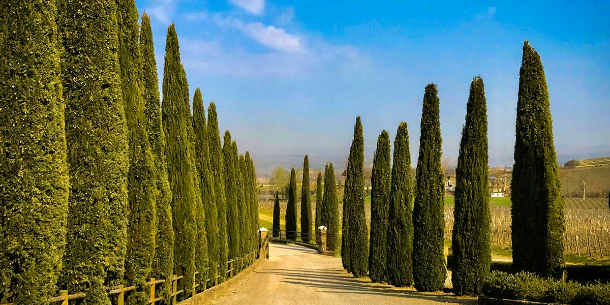 Val d'Orcia: da vedere